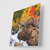 Herfst kleur langs bisschop Creek, CA Vierkante Klok (Hoek)