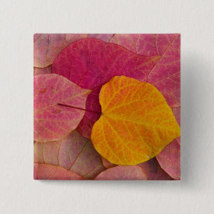 Herfst kleur op neergevallen bospijlstaaf vierkante button 5,1 cm