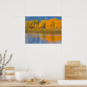 Herfst Kleurrijke Espenbomen Poster (Keuken)