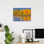Herfst Kleurrijke Espenbomen Poster (Thuiskantoor)