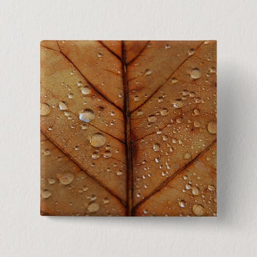 Herfst Knop Vierkante Button 5,1 Cm (Voorkant)