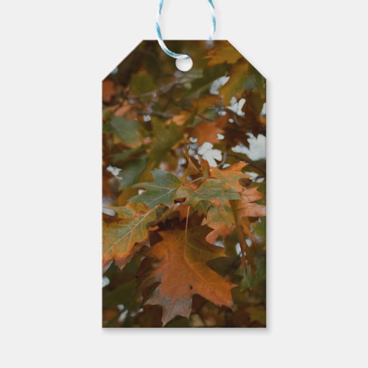 Herfst laat cadeau labels cadeaulabel (Voorkant)
