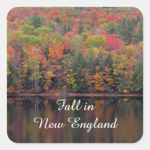 Herfst laat Herfst kleur scène Stickers