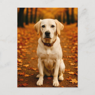 Herfst Labrador Ansichtkaart Gouden Herfstbos Hond Briefkaart