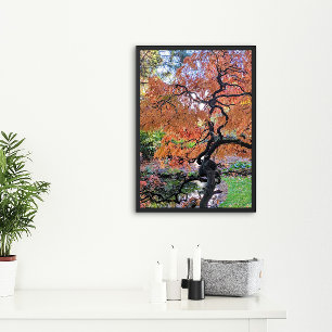 Herfst Laceleaf Japanse Esdoorn Botanisch Perfect Poster