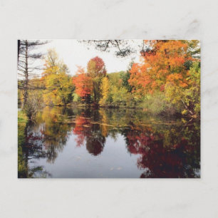 Herfst Lake Briefkaart