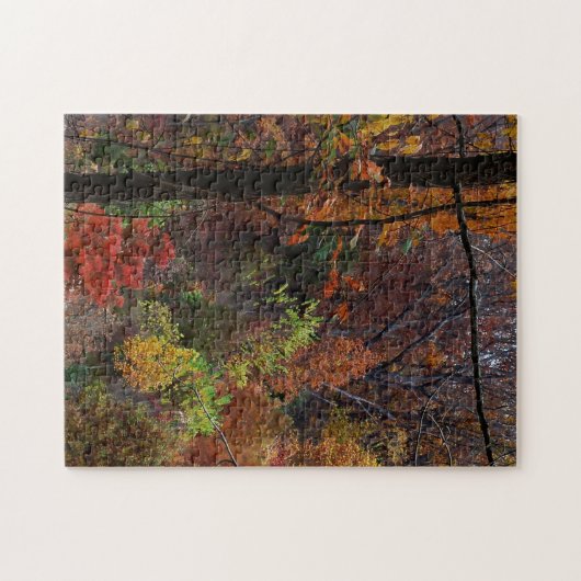 Herfst landschap in Arkansas Jigzaag Puzzel Legpuzzel (Horizontaal)