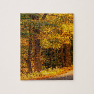 Herfst Landweg Herfst Foto Legpuzzel