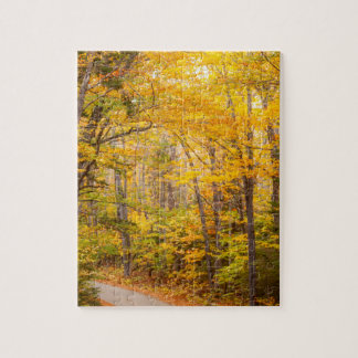 Herfst Landweg Herfst Foto Legpuzzel