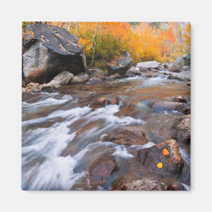Herfst langs Bishop Creek, CA Magneet