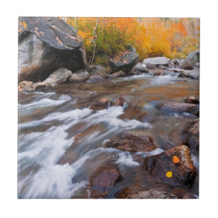 Herfst langs Bishop Creek, CA Tegeltje