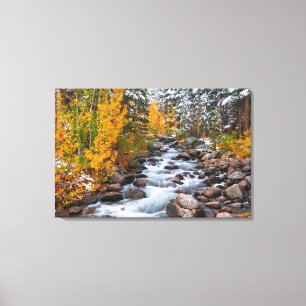 Herfst langs Bishop Creek, Californië Canvas Afdruk