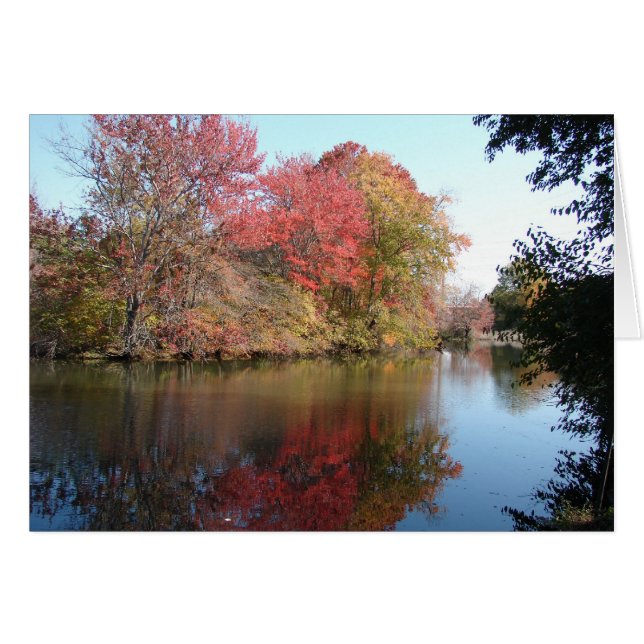 Herfst langs de Creek (Voorkant Horizontaal)