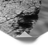Herfst Leaf 2 - B&W Poster (Hoek)