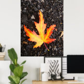 Herfst Leaf Bright versie van afbeelding. Restiq. Poster (Thuiskantoor)