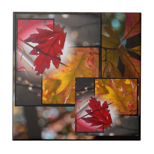 Herfst Leaf Collage Small Tile Tegeltje (Voorkant)