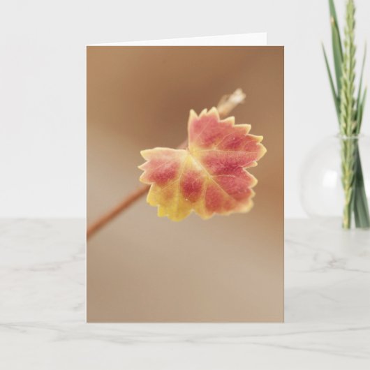 Herfst Leaf Kaart (Voorkant)