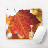 Herfst Leaf Muismat (Met muis)