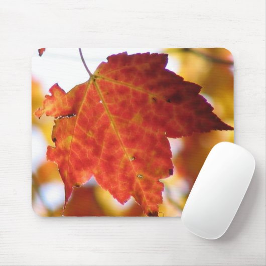 Herfst Leaf Muismat (Met muis)