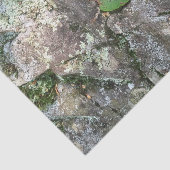 Herfst Leaf on Rock Tissuepapier (Detail)