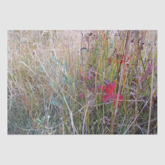 Herfst Leaf-papier Tissuepapier (Voorkant)