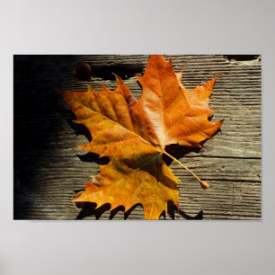 Herfst Leaf Poster