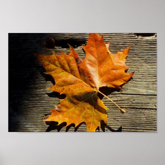 Herfst Leaf Poster (Voorkant)