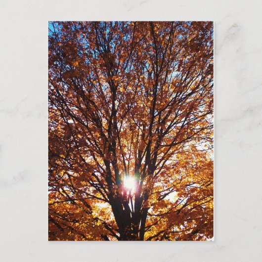 Herfst Light Briefkaart (Voorkant)
