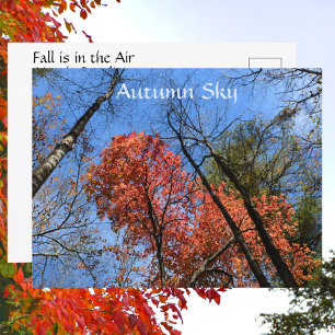 Herfst Lucht Kleurrijke Herfstbomen Fotografisch Briefkaart