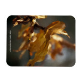 Herfst Magneet (Horizontaal)