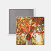 herfst magneet (Voorkant / Achterkant)