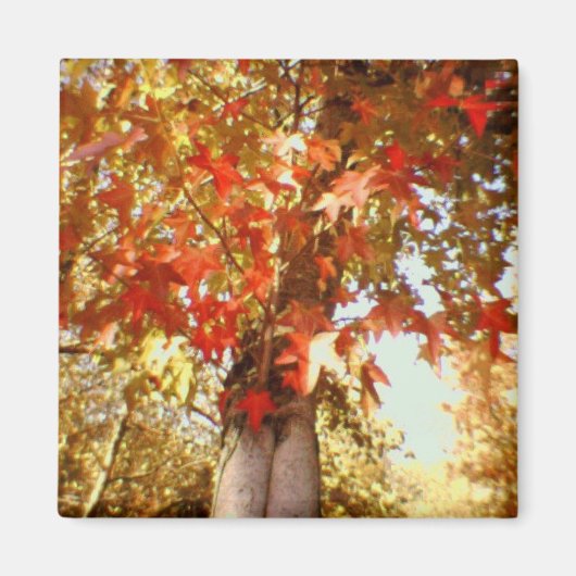 herfst magneet (Voorkant)