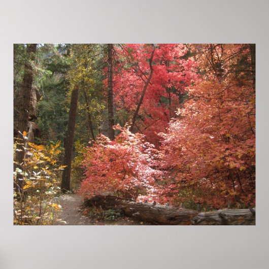 Herfst Majesteit (3) Poster (Voorkant)