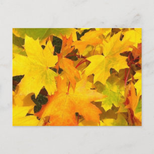 Herfst Maple Leaves met Autumn Colors Briefkaart