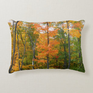Herfst Maple Trees Autumn Natuur Fotografie Accent Kussen