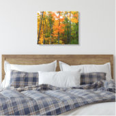 Herfst Maple Trees Autumn Natuur Fotografie Canvas Afdruk (Insitu (Slaapkamer))