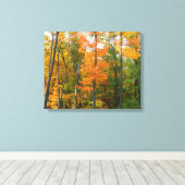 Herfst Maple Trees Autumn Natuur Fotografie Canvas Afdruk (Insitu (Houten vloer))