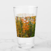 Herfst Maple Trees Autumn Natuur Fotografie Glas (Voorkant)