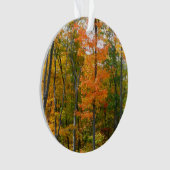 Herfst Maple Trees Autumn Natuur Fotografie Ornament (voorkant)