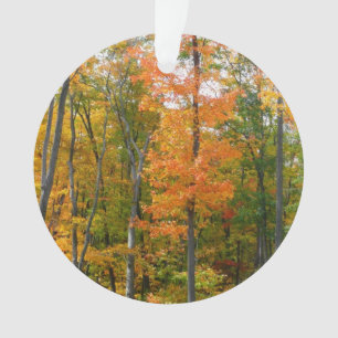 Herfst Maple Trees Autumn Natuur Fotografie Ornament
