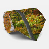 Herfst Maple Trees Autumn Natuur Fotografie Stropdas (Opgerold)