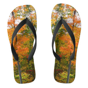 Herfst Maple Trees Autumn Natuur Fotografie Teenslippers