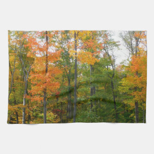 Herfst Maple Trees Autumn Natuur Fotografie Theedoek