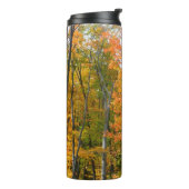 Herfst Maple Trees Autumn Natuur Fotografie Thermosbeker (Gedraaid links)