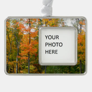 Herfst Maple Trees Autumn Natuur Fotografie Verzilverd Kader Ornament