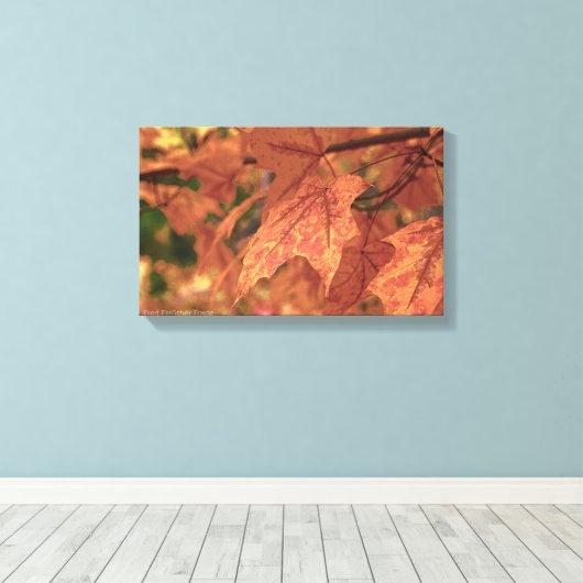 Herfst Maple verlaat HDR Canvas Afdruk (Insitu (Houten vloer))