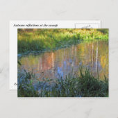 Herfst Moeras Briefkaart (Voorkant / Achterkant)