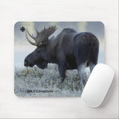 Herfst - Moose Muismat (Met muis)