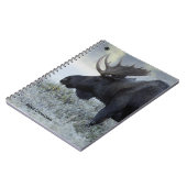 Herfst - Moose Notitieboek (Linkerzijde)