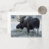 Herfst - Moose Notitiekaartje (Voorkant / Achterkant in situ)